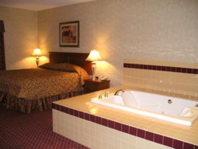 Hotel Western Media Center Inn&suites 3*